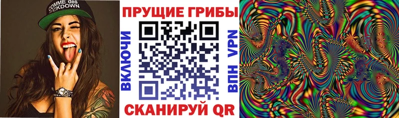 купить  цена  Иннополис  Галлюциногенные грибы мухоморы 