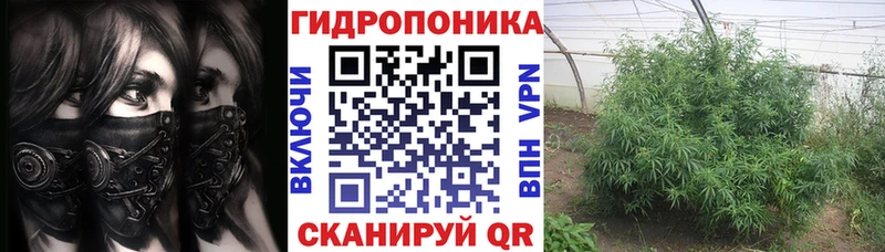 Каннабис VHQ  OMG ссылки  Иннополис 